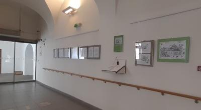výstava M_Šuhaj2